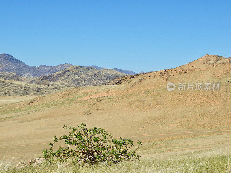 非洲景观- Kunene地区，纳米比亚